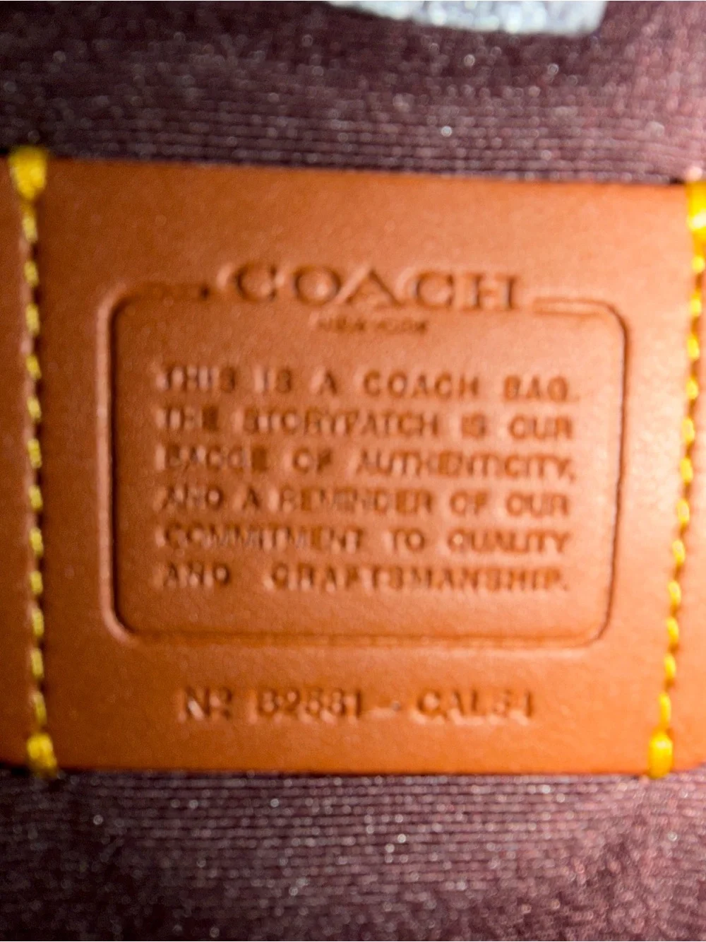 Coach pebble leather